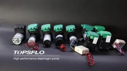 High Performance China Micro Vacuum Pump/ Micro Air Pump/Brush DC Diaphragm Pressure Vacuum Pump/Mini Compressor Air Pump Factory