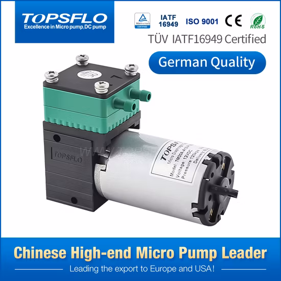 Microbomba de vacío de alto rendimiento de China/microbomba de aire/bomba de vacío de presión de diafragma de CC con cepillo/minicompresor de bomba de aire de fábrica