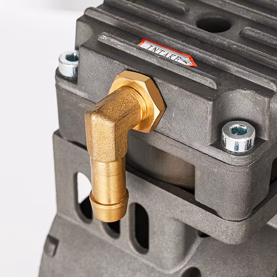 Compresor concentrador de oxígeno de 110V CA, bomba de cabezal de compresor de aire sin aceite de pistón silencioso de 370W para concentrador de oxígeno de 5L